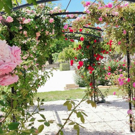Gite En Provence Lavande Modene Εξωτερικό φωτογραφία