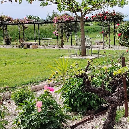 Gite En Provence Lavande Modene Εξωτερικό φωτογραφία