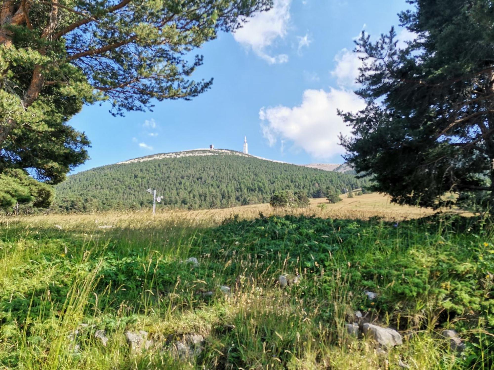 Gite En Provence Lavande Modene Εξωτερικό φωτογραφία
