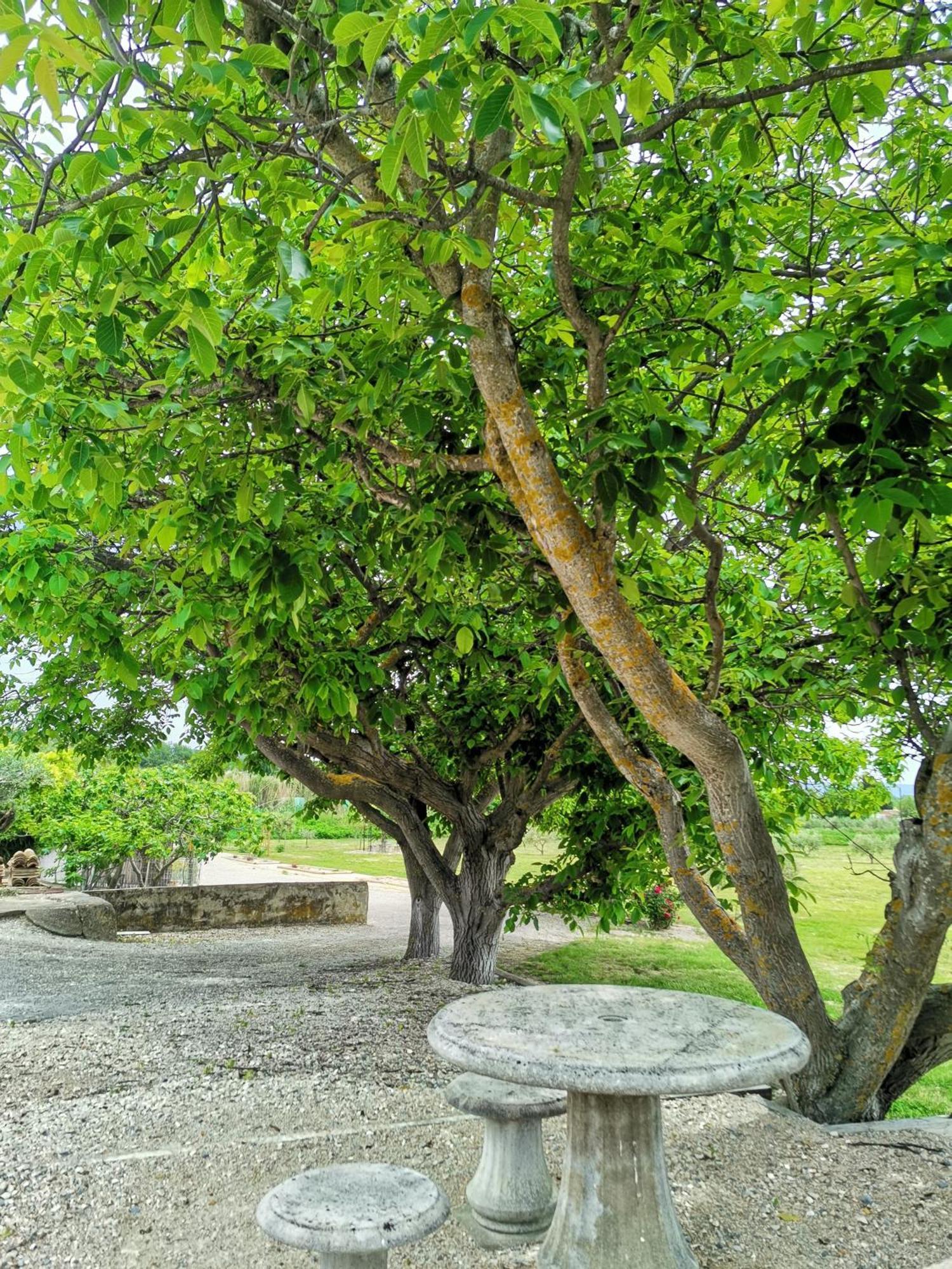Gite En Provence Lavande Modene Εξωτερικό φωτογραφία