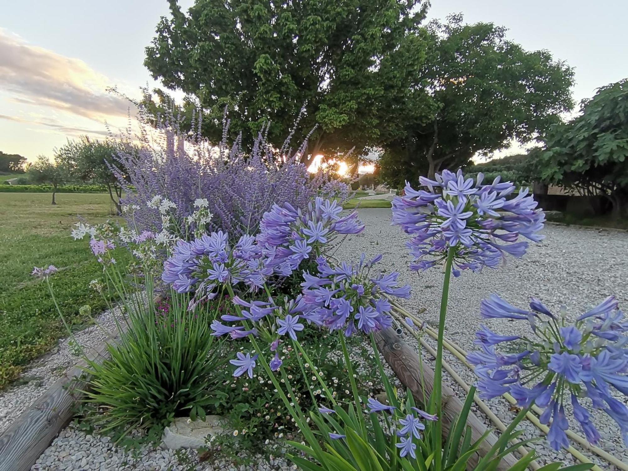 Gite En Provence Lavande Modene Εξωτερικό φωτογραφία