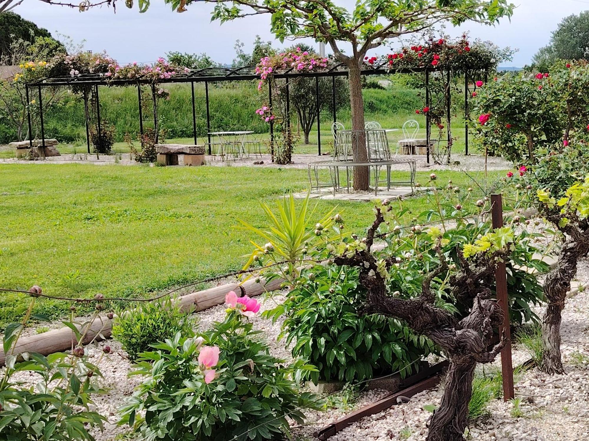 Gite En Provence Lavande Modene Εξωτερικό φωτογραφία